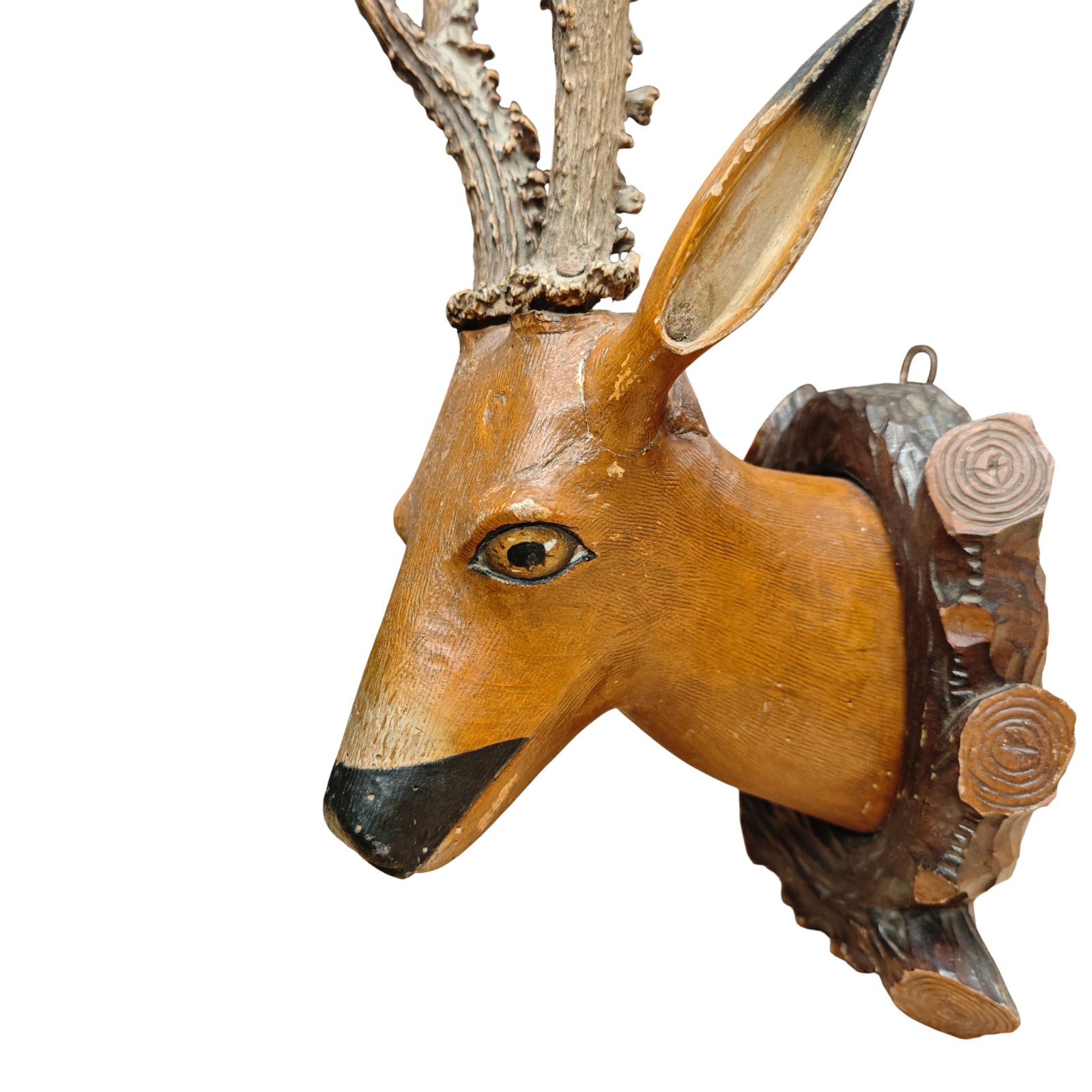 Image #11
