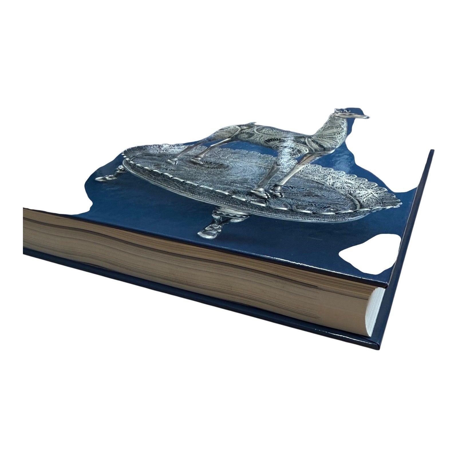 Image #4